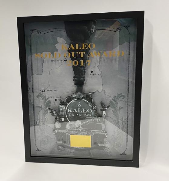 Sold-out-Award-KALEO